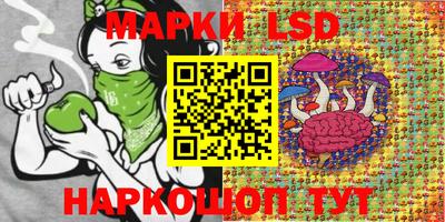 apvp Обь