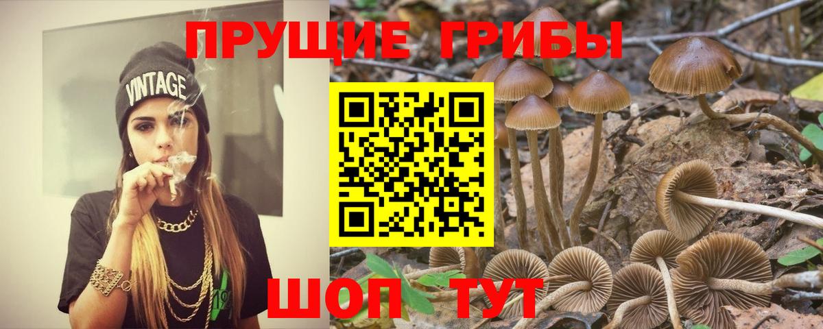 Псилоцибиновые грибы прущие грибы Полысаево